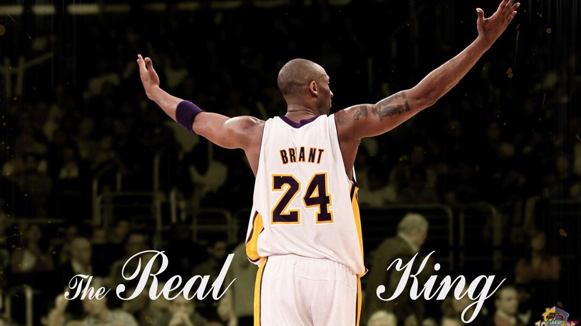 赛季最佳“冷门”队伍:中国球队崭露头角,冷门球员